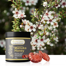 將圖片載入圖庫檢視器 Concord Nutraceuticals 澳洲康道 健康營養補充品系列澳洲康道麥盧卡靈芝蜂蜜 MGO30+ 250g