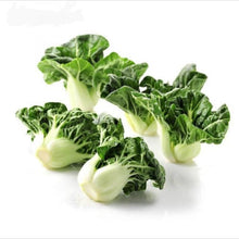 將圖片載入圖庫檢視器 天豐蔬菜 學斗菜仔 T00261060700940 1斤
