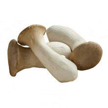 將圖片載入圖庫檢視器 天豐蔬菜 鮮脾菇 T00261060700275 1斤
