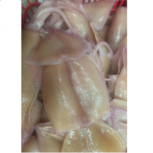 楊明記食品貿易批發有限公司 魷魚/斤 Y00171060780974 1斤