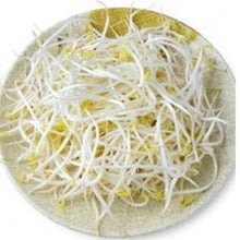 將圖片載入圖庫檢視器 和記 銀芽 W00291060700059 1斤
